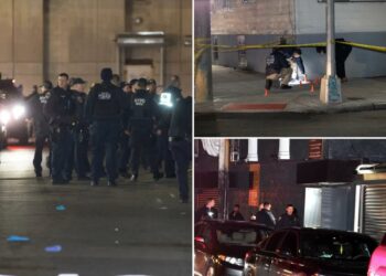 At least 11 wounded in mass shooting outside Queens nightclub: sources