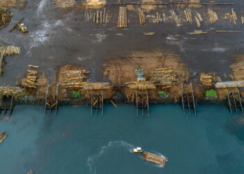 Canada and America have been fighting about timber for 40 years