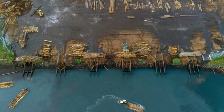 Canada and America have been fighting about timber for 40 years