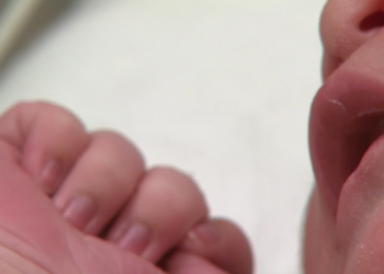 Colorado among the states aiming to pause Trump order seeking to overturn birthright citizenship