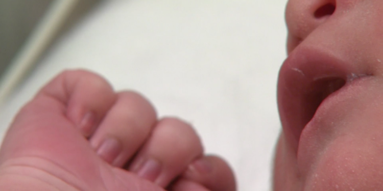 Colorado among the states aiming to pause Trump order seeking to overturn birthright citizenship