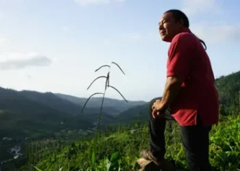 Gemma Handy Former Kalinago Chief Irvince Nanichi Auguiste