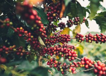 Image: artrachen/stock.adobe.com