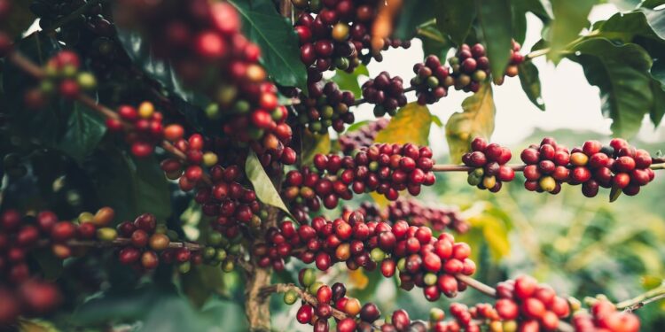 Image: artrachen/stock.adobe.com