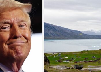 Greenland 'supports joining US' poll suggests - but Denmark says it's 'not for sale' | World | News