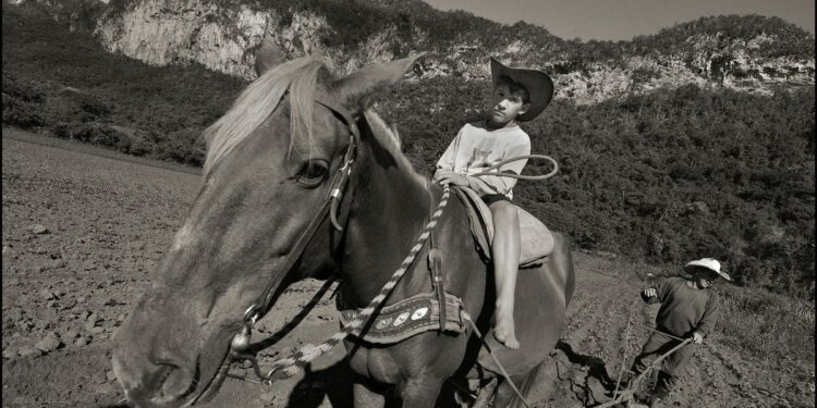 Here's what I saw, what residents say