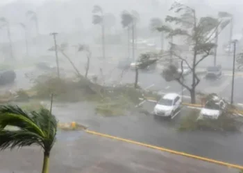 AFP/Getty Images Trees toppled over in a parking lot at Roberto Clemente Coliseum in San Juan, Puerto Rico, 20 September 2017