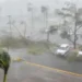AFP/Getty Images Trees toppled over in a parking lot at Roberto Clemente Coliseum in San Juan, Puerto Rico, 20 September 2017