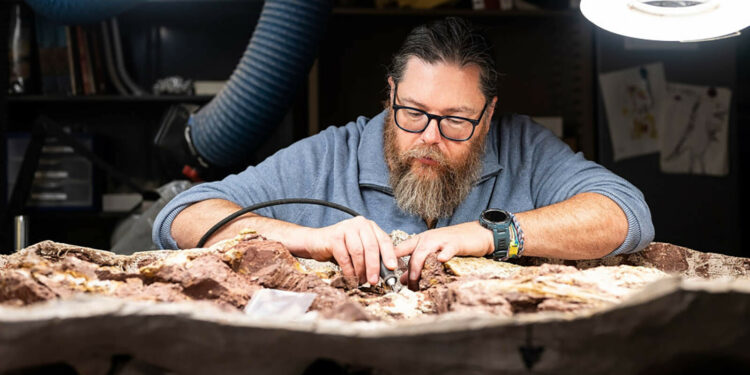 North America's Earliest Dinosaur Is A 230-Million-Year-Old Chicken-Sized Wyomingite