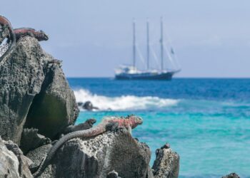 Condé Nast Traveler