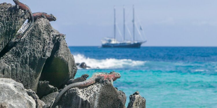 Condé Nast Traveler