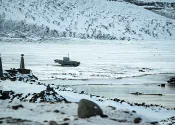 The Straits Times logo