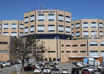 VA program to help veterans facing mental health issues secure their firearms taking off in Arkansas | The Arkansas Democrat-Gazette