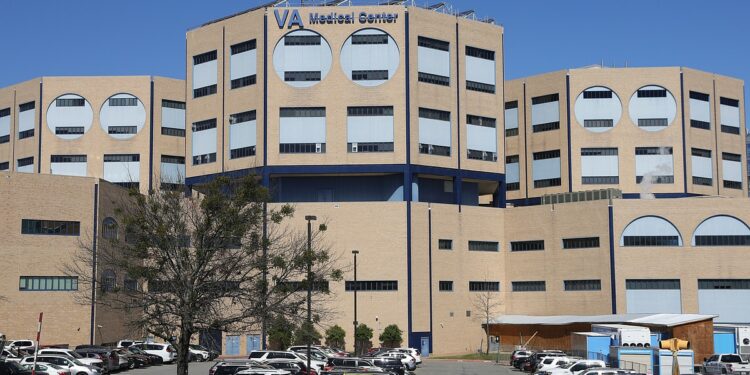 VA program to help veterans facing mental health issues secure their firearms taking off in Arkansas | The Arkansas Democrat-Gazette