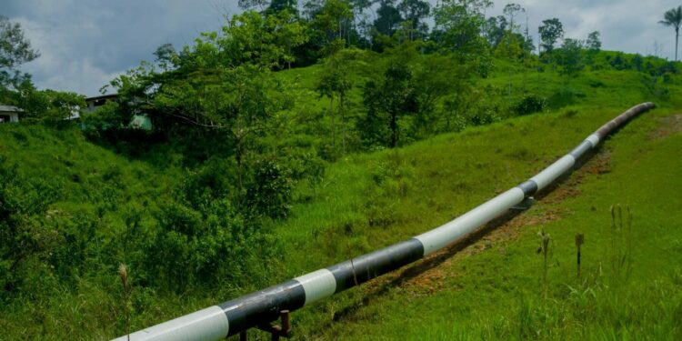 el caso de Ecuador, ahora un libro relata las consecuencias y los 'desmanes' en su extracción