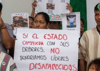 estado fallido y desastre absoluto en medio ambiente