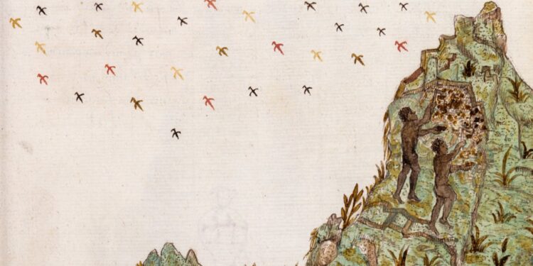 the story of 11 Africans in South America’s gold mines in the 1500s