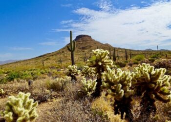 Inside the US desert city that defined Hollywood’s golden age – where big adventure meets foodie dream