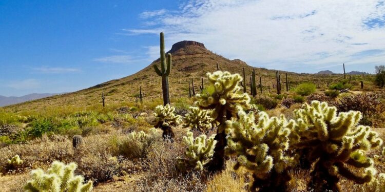 Inside the US desert city that defined Hollywood’s golden age – where big adventure meets foodie dream