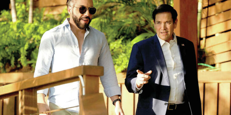 El Salvador offers to take US deportees of any nationality – and Americans serving time