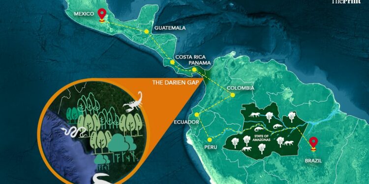 Panama's jungles, Nicaragua's 'electric shock' camps, tracing the deadly dunki route to America