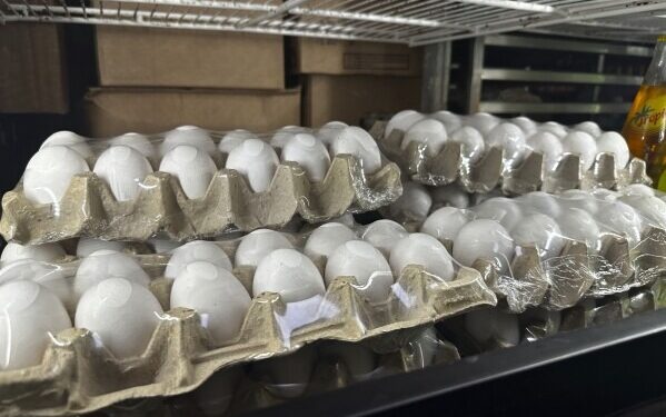 Guyana working to increase production of broilers, eggs as US hit with bird flu