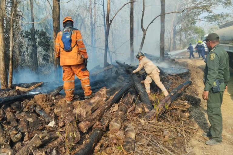 Más de 1000 hectáreas de bosque y cultivos de teca se quemaron en el municipio de San Onofre, Sucre. Foto: Fuerzas Militares de Colombia.