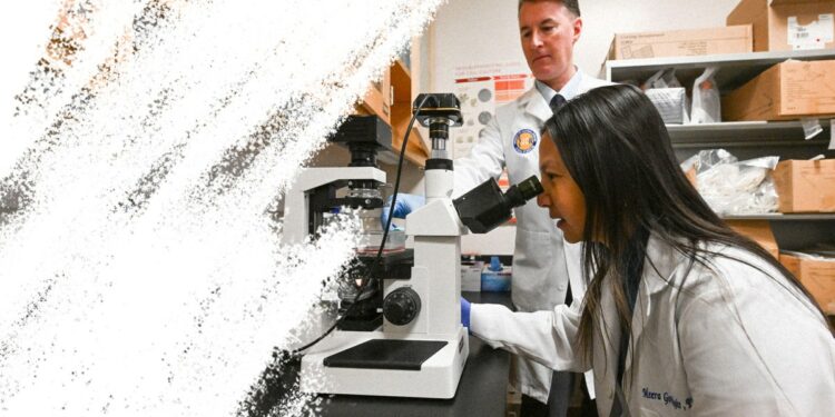 America Will Pay Dearly for the NIH’s Mindless War on Wokeness and DEI – Mother Jones