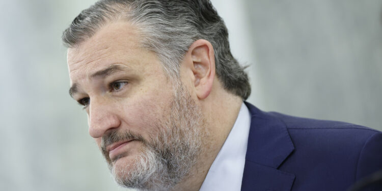 Ted Cruz Reveals Warning He Issued to NATO Ally
