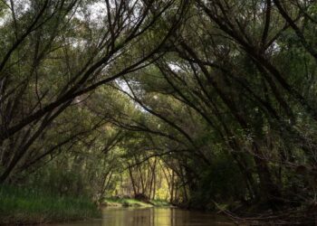Where is the center of Arizona? You might be surprised