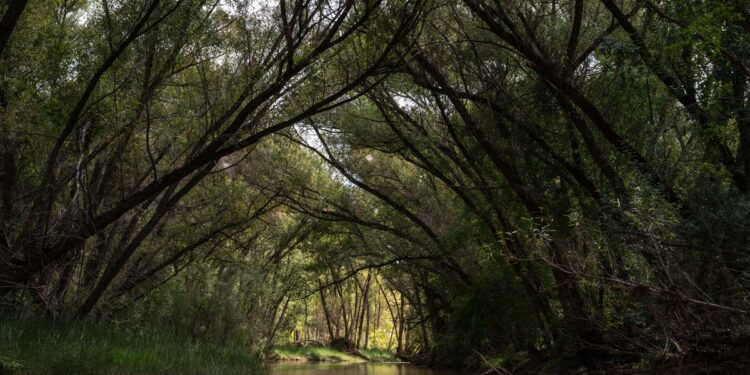 Where is the center of Arizona? You might be surprised