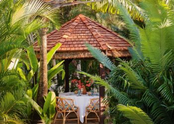 On the botanical wellness travel trail in St Lucia