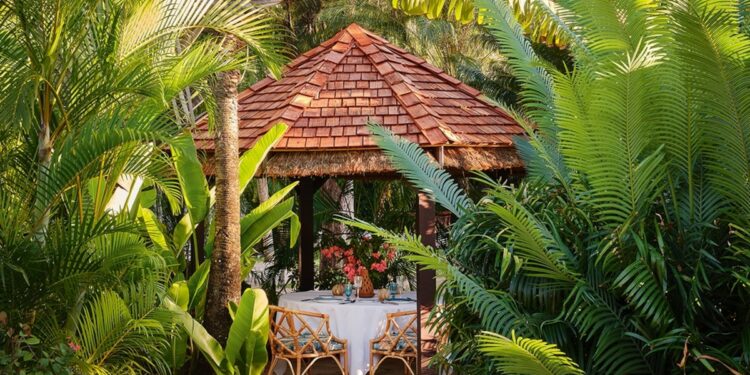 On the botanical wellness travel trail in St Lucia