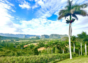 Cultural Cuba – Winnipeg Free Press