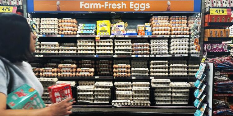 To help solve its egg price crisis, America is turning to Turkey (the country)