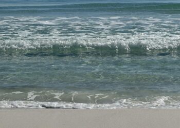 Florida's FWC complying with Trump's 'Gulf of America' name change