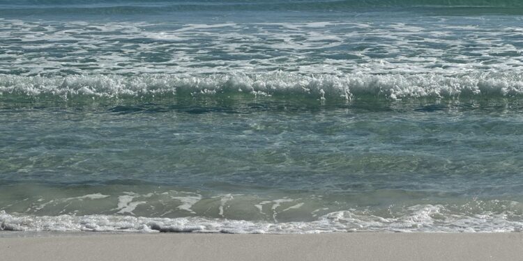 Florida's FWC complying with Trump's 'Gulf of America' name change