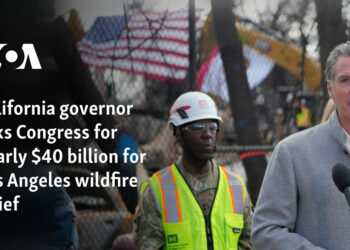 California governor asks Congress for nearly $40 billion for Los Angeles wildfire relief