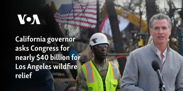 California governor asks Congress for nearly $40 billion for Los Angeles wildfire relief