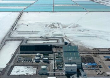 Cámara de Diputados de Bolivia suspende contratos con Rusia y China para explotar litio