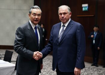 China to strengthen exchanges with Argentina: FM - World