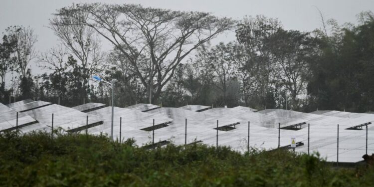 Cuba opens solar park hoping to stave off blackouts