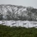 Cuba opens solar park hoping to stave off blackouts