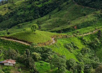 Ecuador mining bonanza for next president