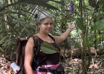 El Dorados Green Push: Guianas Eco-Resistance Project