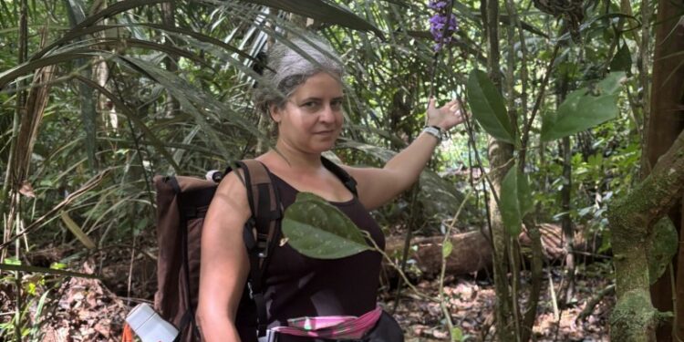 El Dorados Green Push: Guianas Eco-Resistance Project