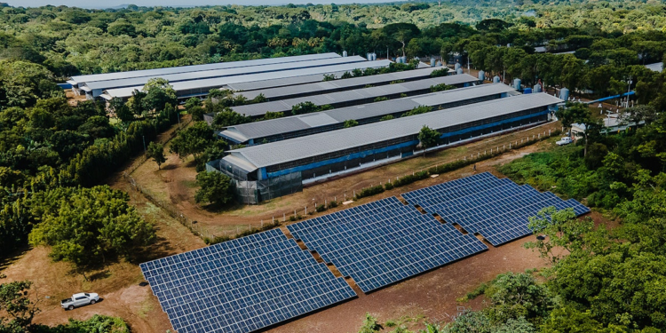 El Granjero: An exemplary egg producer in Nicaragua