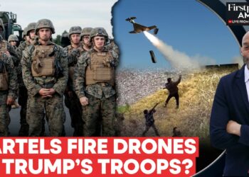 Mexico Cartels Target Border Agents with Suicide Drones, Explosives: Reports |Firstpost America|N18G
