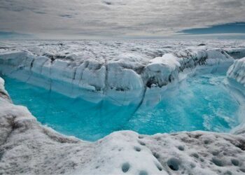 Russia is using Trump’s Greenland rhetoric to boost its Crimea claims