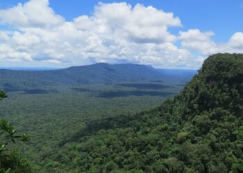 Suriname Travel Guide